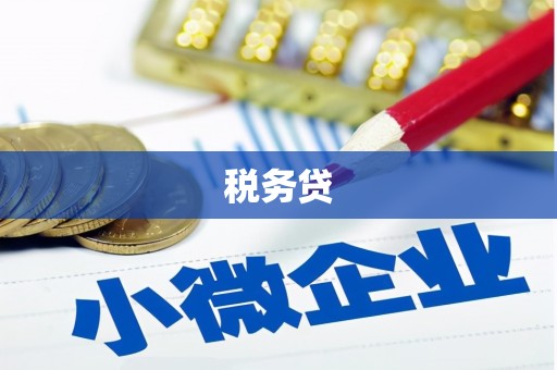 满州税务贷