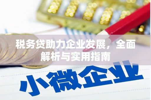满州税务贷助力企业发展，全面解析与实用指南