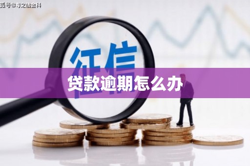 满州贷款逾期怎么办