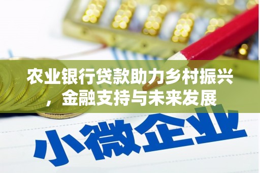 满州农业银行贷款助力乡村振兴，金融支持与未来发展