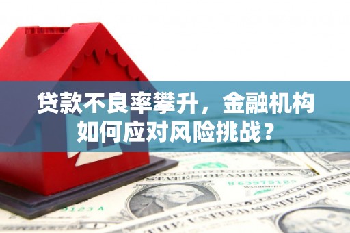 满州贷款不良率攀升，金融机构如何应对风险挑战？