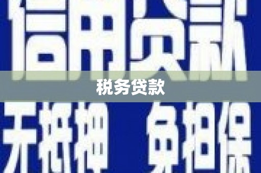 满州税务贷款