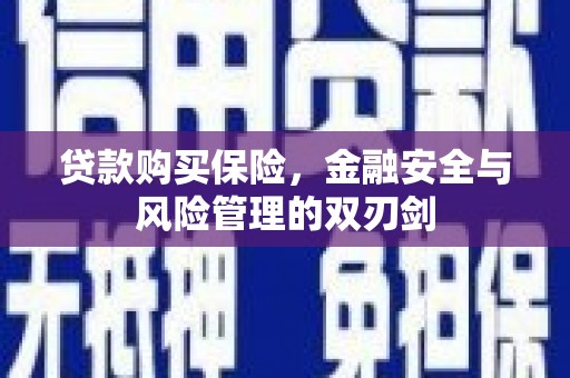 满州贷款购买保险，金融安全与风险管理的双刃剑