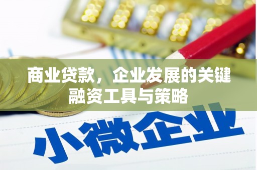 满州商业贷款，企业发展的关键融资工具与策略