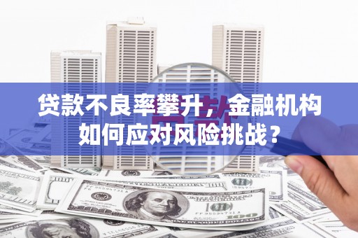 满州贷款不良率攀升，金融机构如何应对风险挑战？