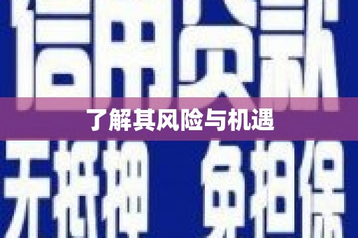 满州了解其风险与机遇