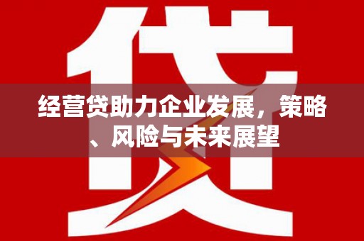 满州经营贷助力企业发展，策略、风险与未来展望