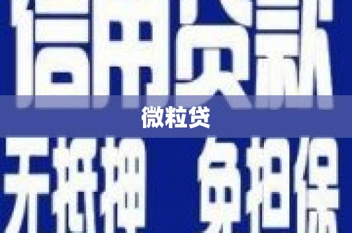 满州微粒贷