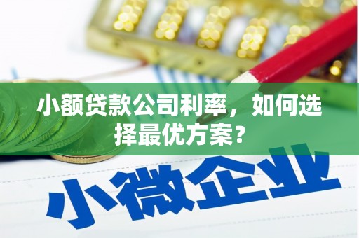 满州小额贷款公司利率，如何选择最优方案？