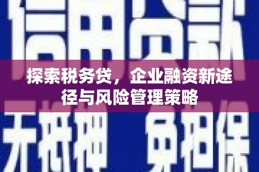 满州探索税务贷，企业融资新途径与风险管理策略