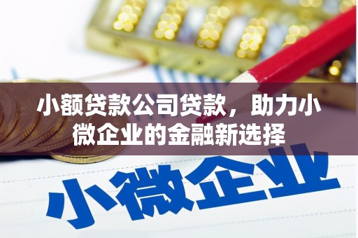 满州小额贷款公司贷款，助力小微企业的金融新选择