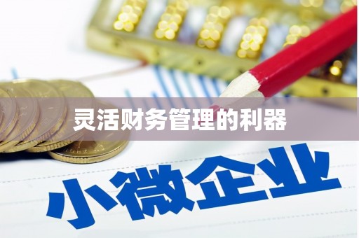 满州灵活财务管理的利器