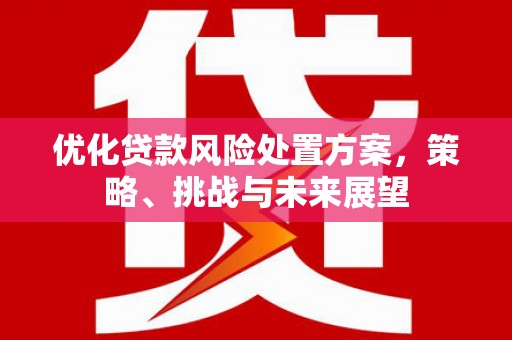 满州优化贷款风险处置方案，策略、挑战与未来展望