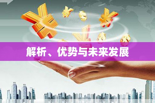 满州解析、优势与未来发展