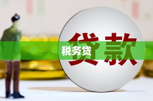 满州税务贷