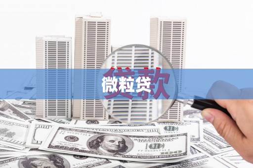 满州微粒贷