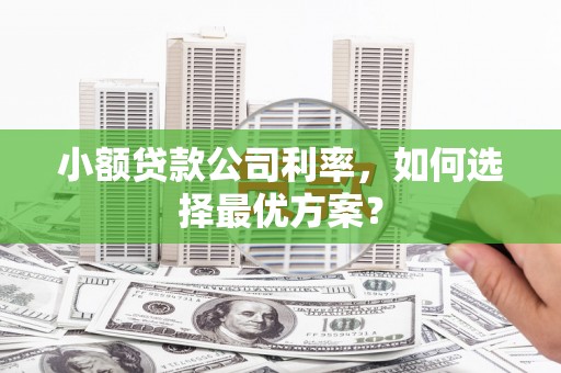 满州小额贷款公司利率，如何选择最优方案？
