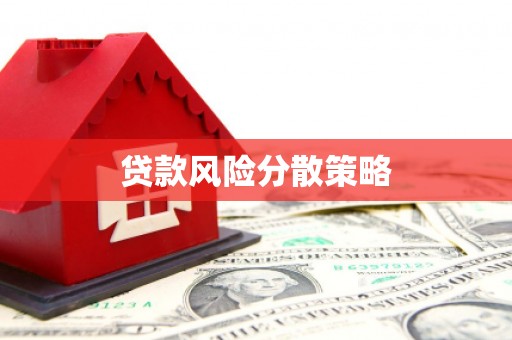 满州贷款风险分散策略