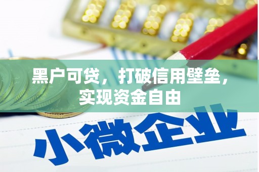 满州黑户可贷，打破信用壁垒，实现资金自由