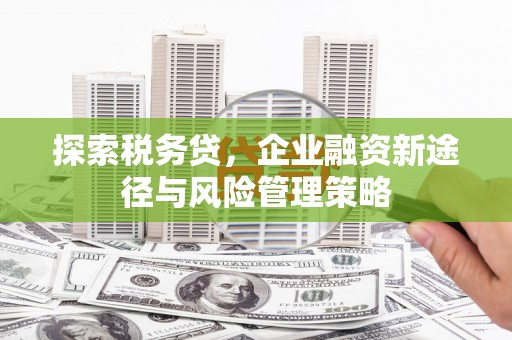 满州探索税务贷，企业融资新途径与风险管理策略
