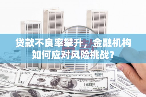 满州贷款不良率攀升，金融机构如何应对风险挑战？