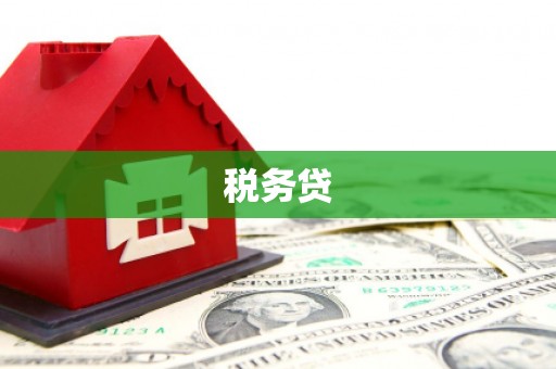 满州税务贷