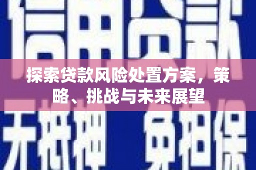 满州探索贷款风险处置方案，策略、挑战与未来展望