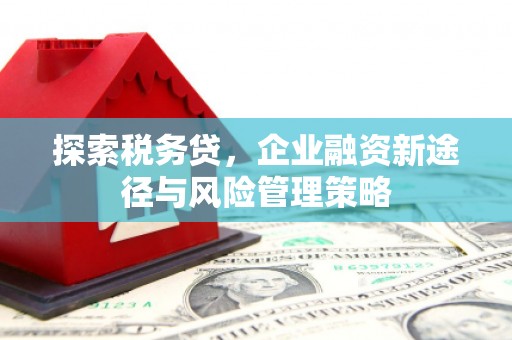 满州探索税务贷，企业融资新途径与风险管理策略