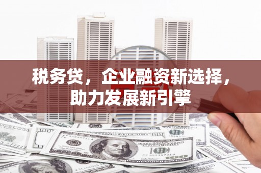 满州税务贷，企业融资新选择，助力发展新引擎