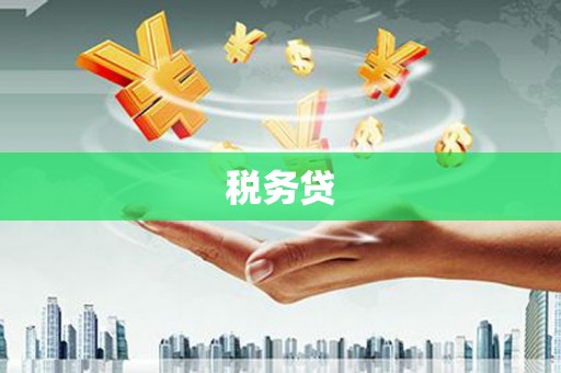 满州税务贷