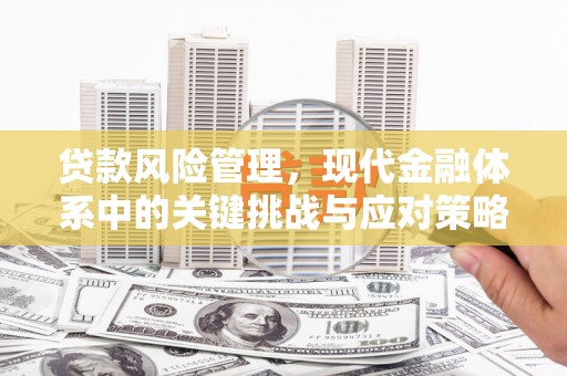 满州贷款风险管理，现代金融体系中的关键挑战与应对策略