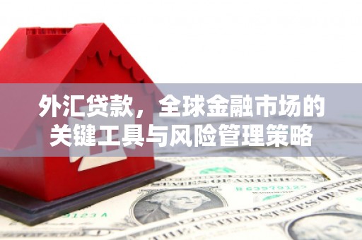 满州外汇贷款，全球金融市场的关键工具与风险管理策略
