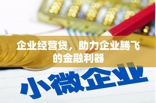 满州企业经营贷，助力企业腾飞的金融利器