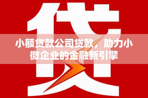 满州小额贷款公司贷款，助力小微企业的金融新引擎