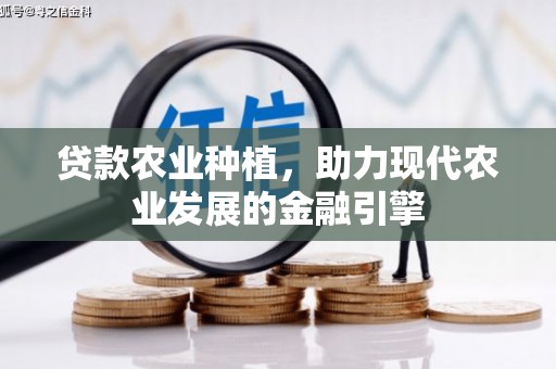 满州贷款农业种植，助力现代农业发展的金融引擎
