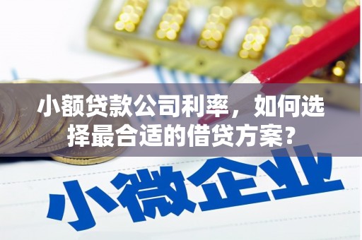 满州小额贷款公司利率，如何选择最合适的借贷方案？