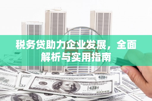 满州税务贷助力企业发展，全面解析与实用指南