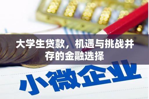 满州大学生贷款，机遇与挑战并存的金融选择