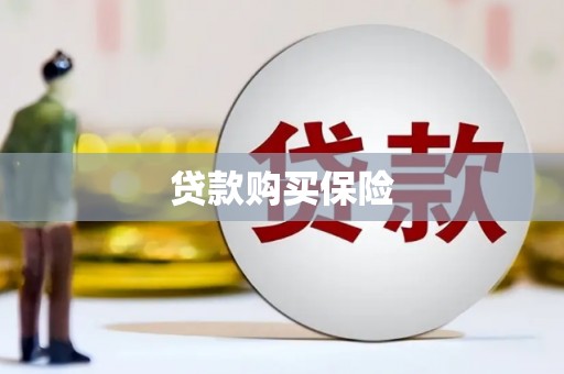 满州贷款购买保险