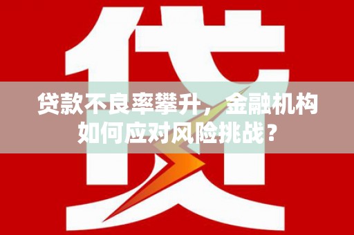 满州贷款不良率攀升，金融机构如何应对风险挑战？
