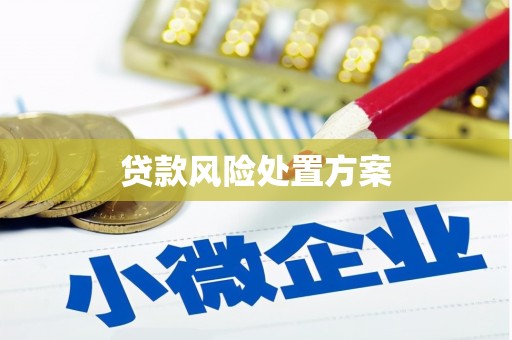 满州贷款风险处置方案