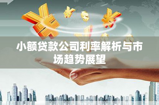 满州小额贷款公司利率解析与市场趋势展望
