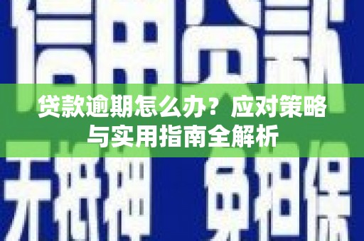 满州贷款逾期怎么办？应对策略与实用指南全解析
