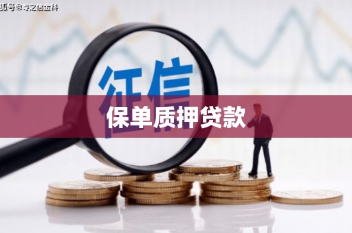 满州保单质押贷款