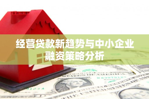 满州经营贷款新趋势与中小企业融资策略分析
