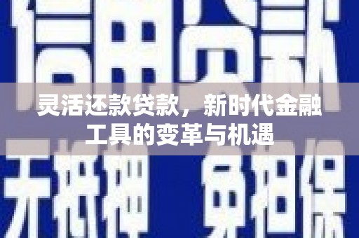 满州灵活还款贷款，新时代金融工具的变革与机遇