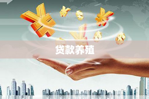 满州贷款养殖