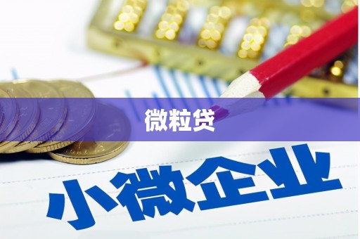 满州微粒贷